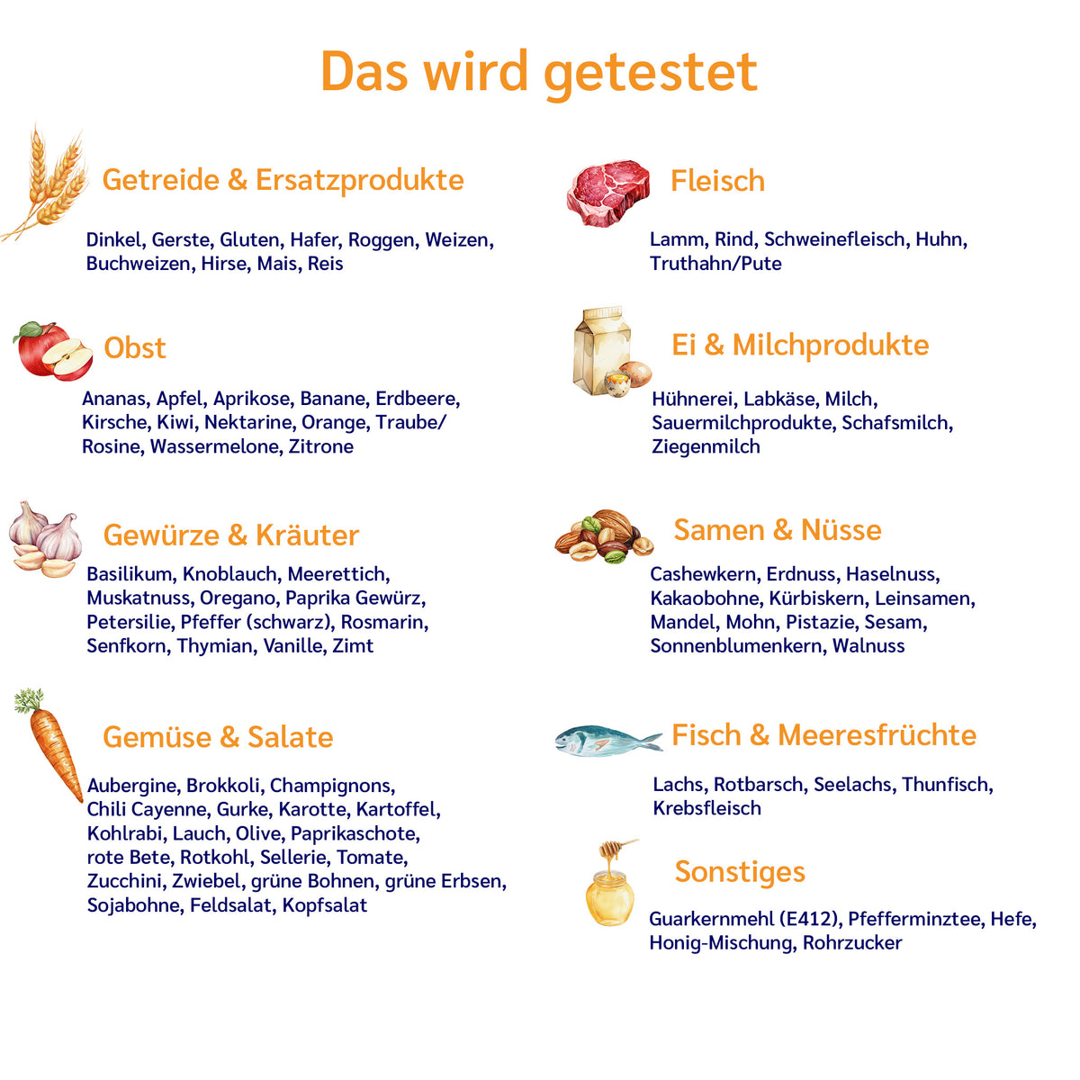 MetaCheck® Nutritest90 IgG Lebensmittelallergie Test zeigt, was im Gesundheitstest geprüft wird, mit Testkits und Proben.